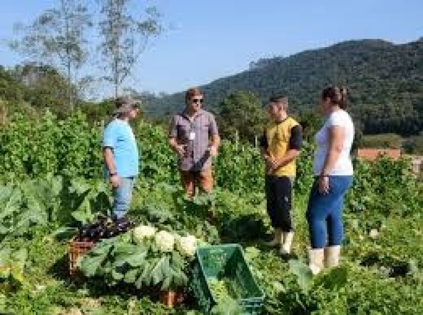 PROGRAME-SE: 31 DE OUTUBRO - Seapa promove Seminário de Políticas Públicas para o Setor Rural