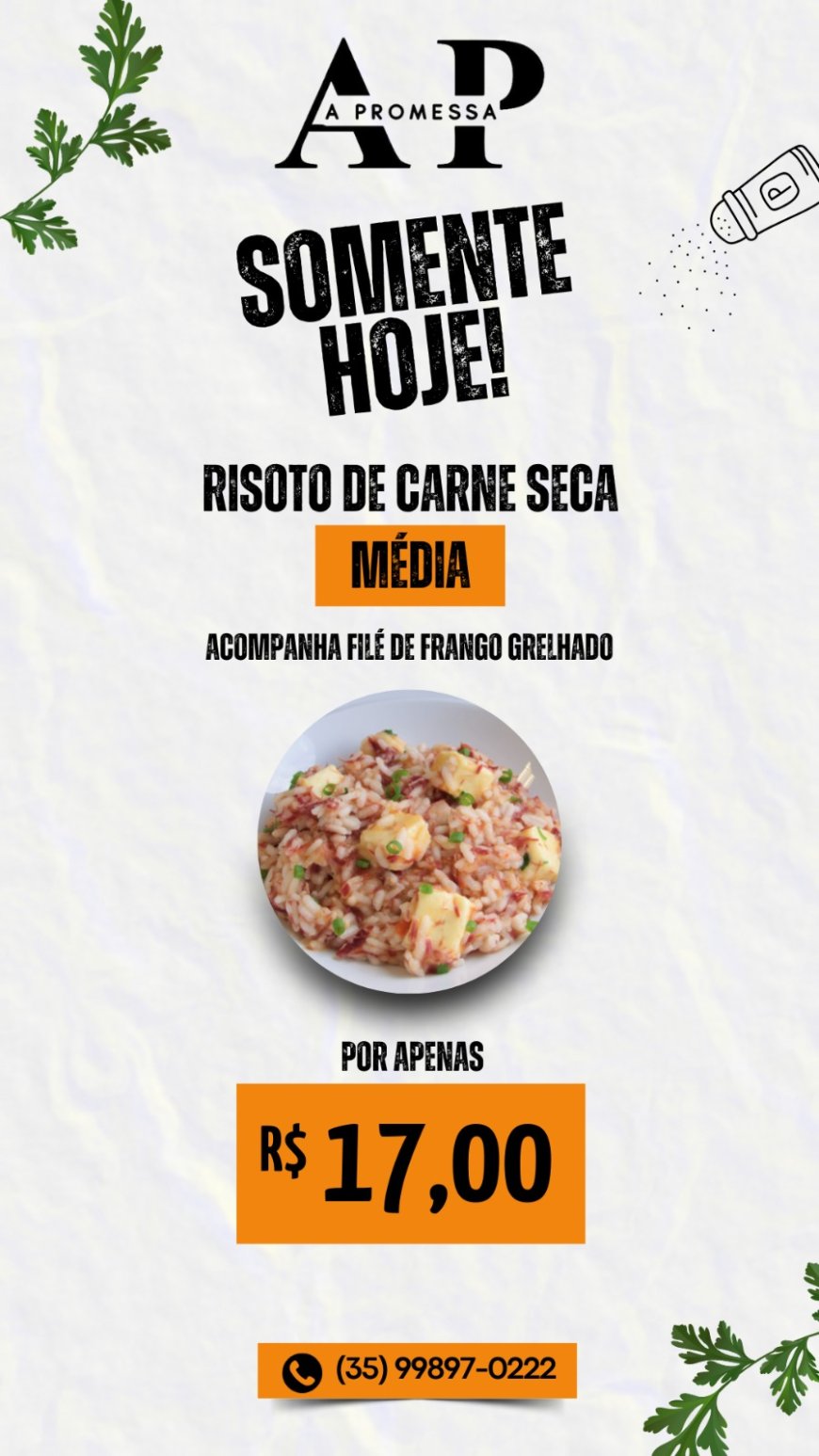 PRATO DO DIA-A PROMESSA