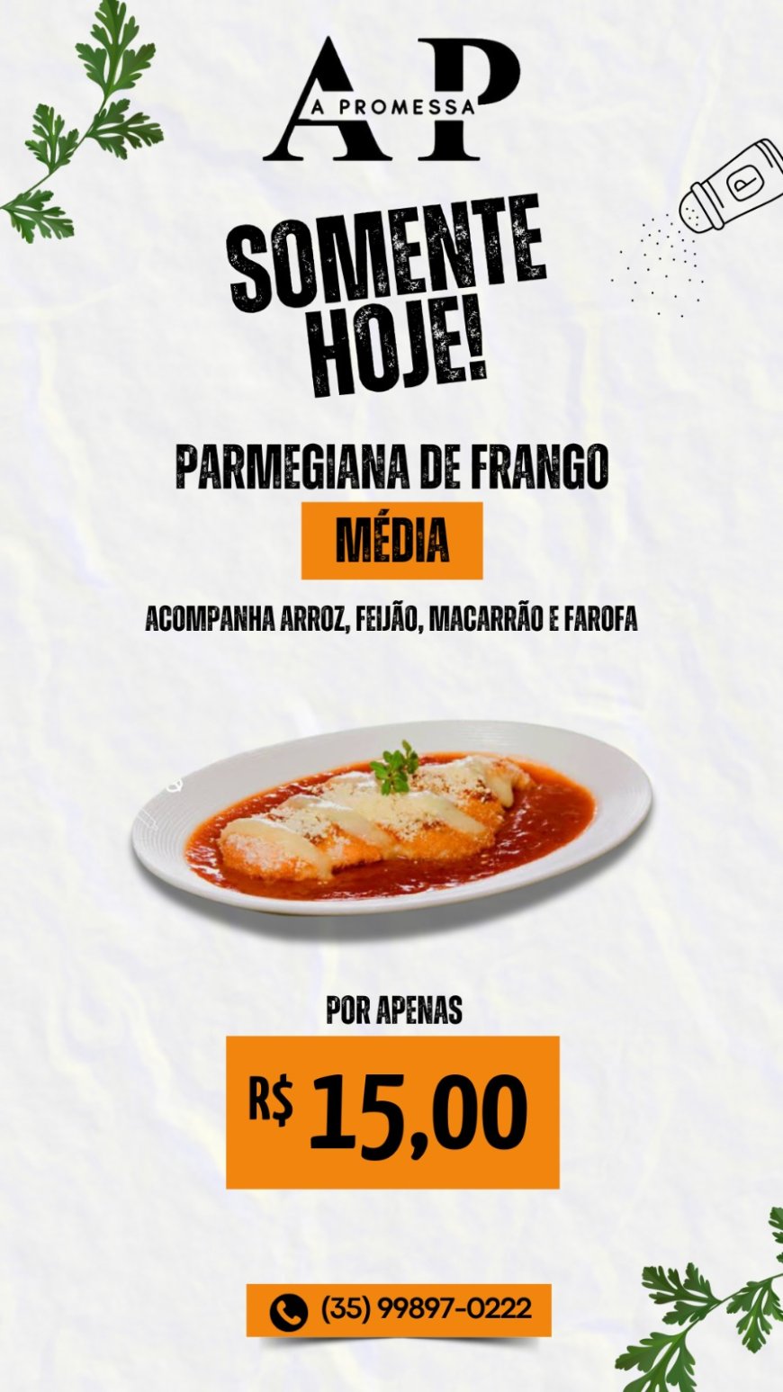 PRATO DO DIA-A PROMESSA