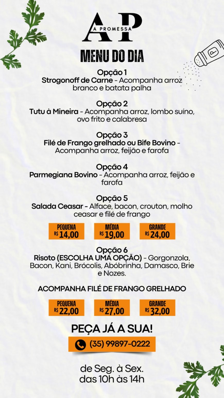 PRATO DO DIA-A PROMESSA