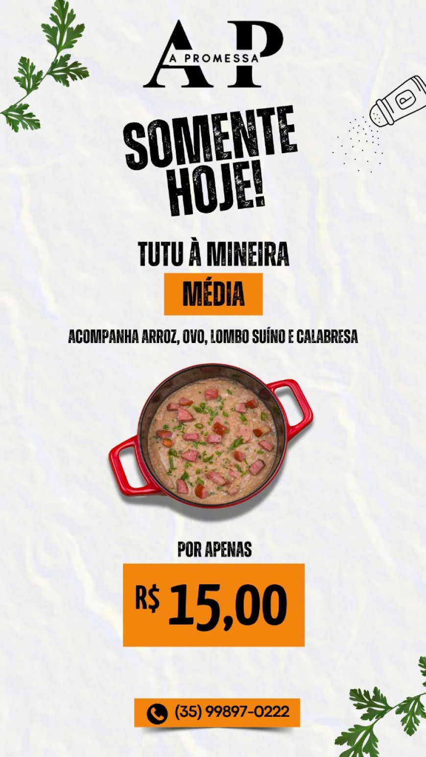 PRATO DO DIA-A PROMESSA