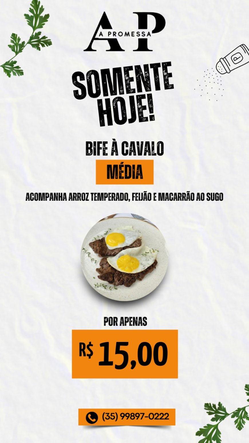 PRATO DO DIA-A PROMESSA