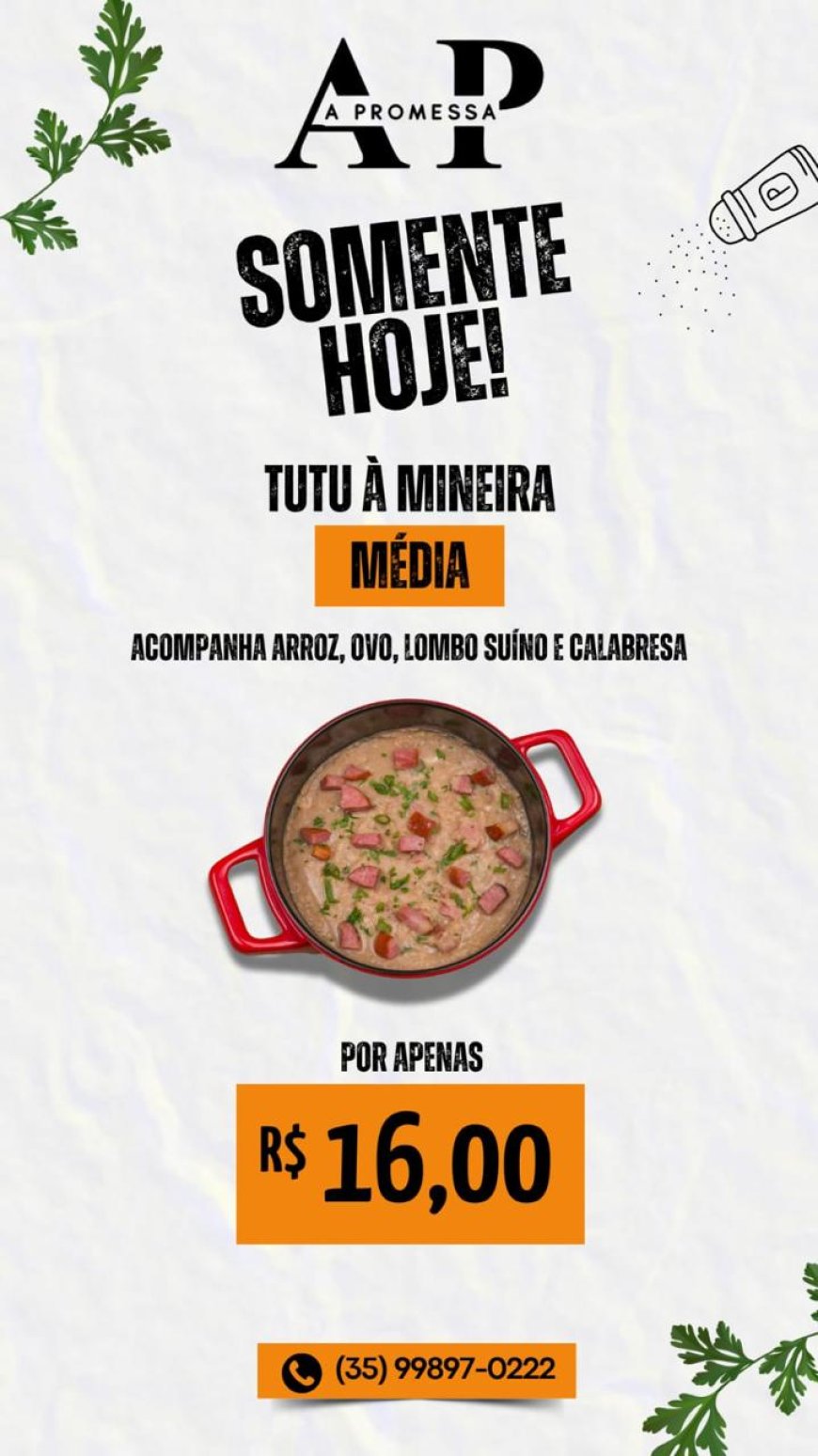 PRATO DO DIA - A PROMESSA