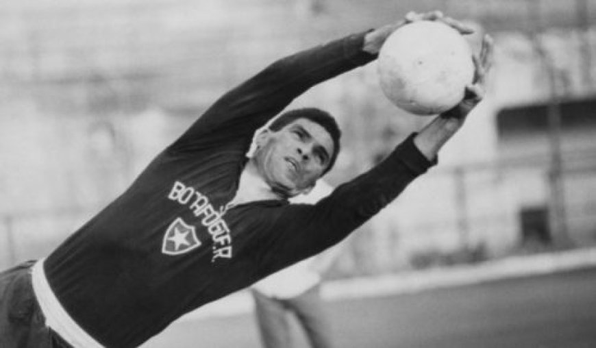 Manga, goleiro lendário do Botafogo e da seleção, morre no Rio