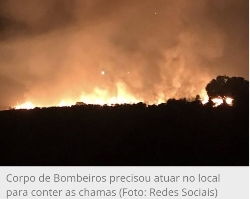 Incêndio de grandes proporções atinge área às margens da rodovia MG-455.