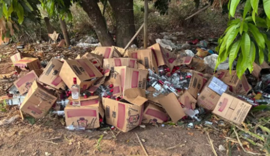 Carga de vodka é abandonada às margens da MG-050 em Passos