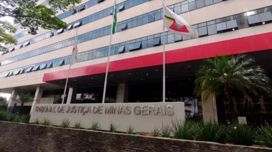 'Matei mesmo': Justiça mantém condenação de homem por atropelar e matar gato no Sul de MG.