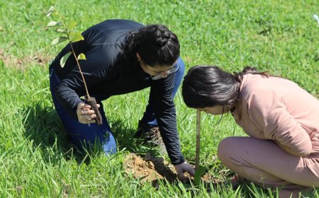 EPR Sul de Minas planta mais de 10 mil mudas nativas e reforça ações de educação ambiental
