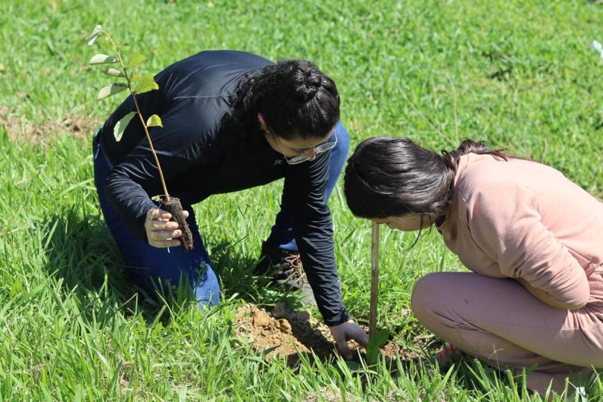 EPR Sul de Minas planta mais de 10 mil mudas nativas e reforça ações de educação ambiental