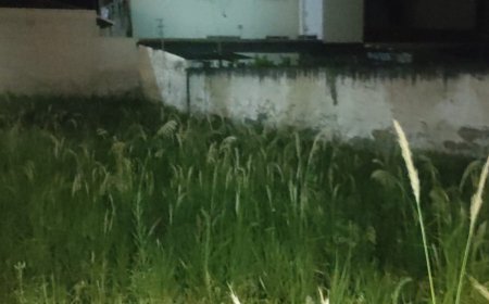 Guarda Municipal atua em incêndio e resgata vítima em Andradas