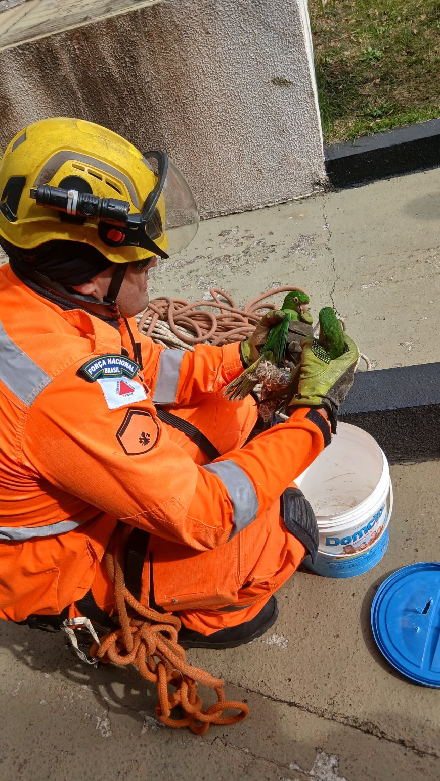 Bombeiros resgatam maritacas presas em telhado de edifício em Pouso Alegre